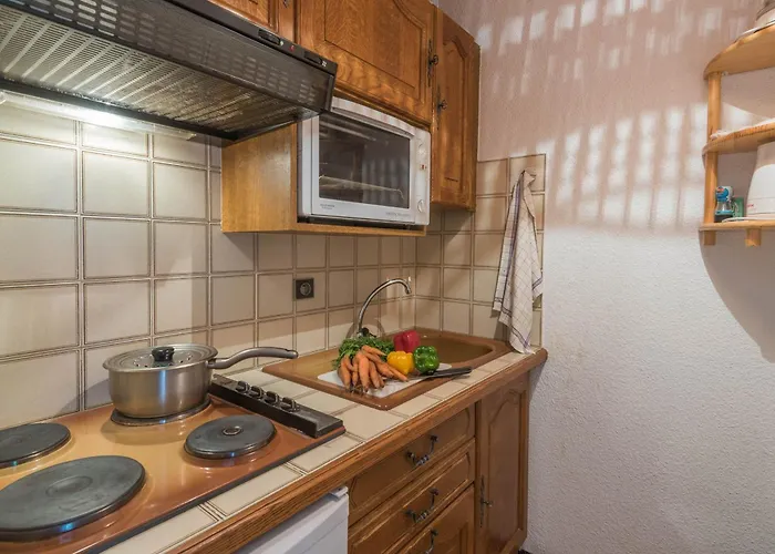 Lumineux Proche Des Pistes, Animaux Admis - Fr-1-517-32 * Chamonix Mont Blanc