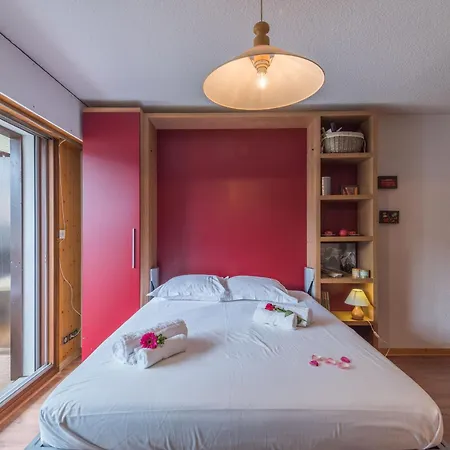 Chamonix, 4 Pers, Proche Pistes, Balcon, Parking, Animaux Admis - Fr-1-517-32 Apartment