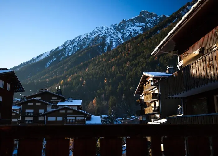 Lumineux Proche Des Pistes, Animaux Admis - Fr-1-517-32 Apartment Chamonix