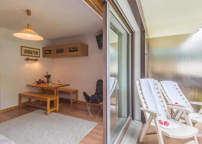 Lumineux Proche Des Pistes, Animaux Admis - Fr-1-517-32 Apartmán *