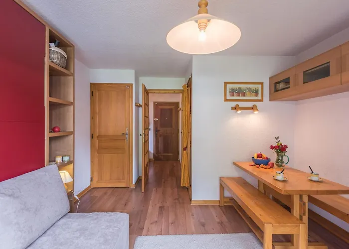 Lumineux Proche Des Pistes, Animaux Admis - Fr-1-517-32 Chamonix